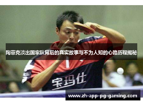 陶菲克淡出国家队背后的真实故事与不为人知的心路历程揭秘